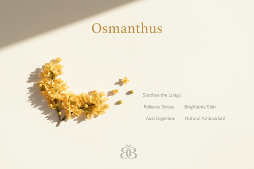 Osmanthus Minimalist Warm Gold